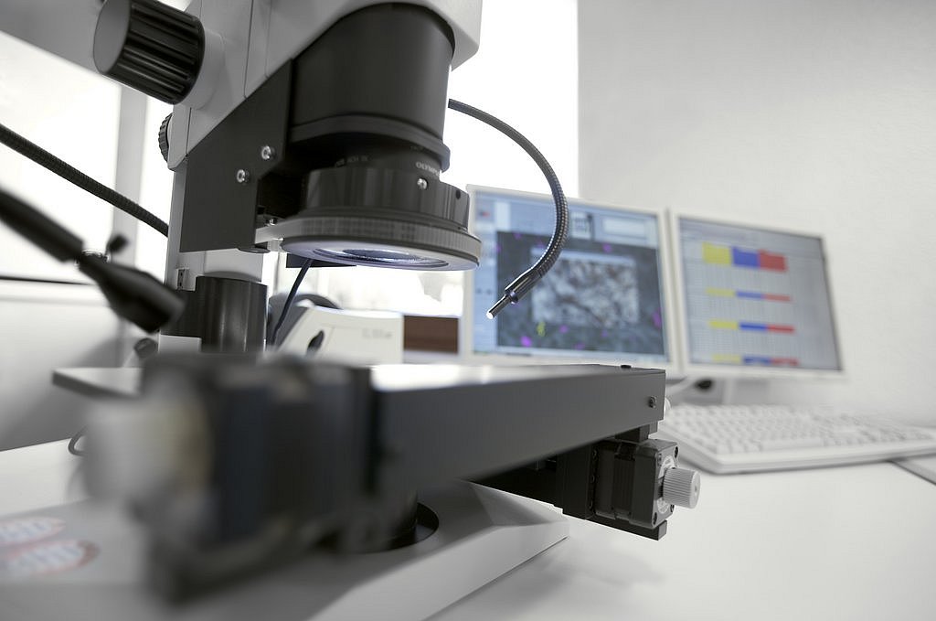 Stereomicroscope for automatic particle measurement and counting with evaluation software on screen