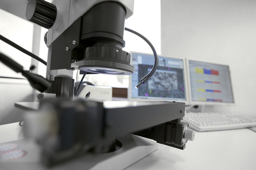 Stereomicroscope for automatic particle measurement and counting with evaluation software on screen